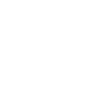 619-DIEGO-858's emblem