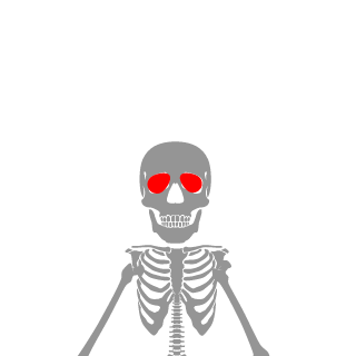 Zncck's emblem
