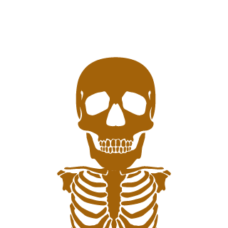 ScriptRonin's emblem