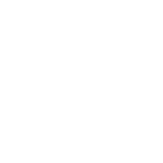 RealBriefsky's emblem
