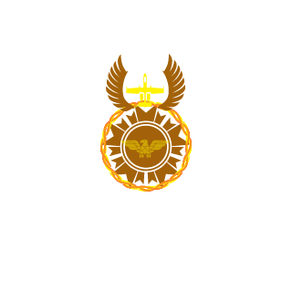 0Falcon_Eye0's emblem