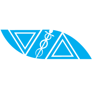 TheFlashPhoenix's emblem
