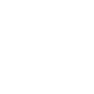 NORDSTREAM22's emblem