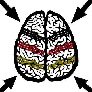 oopsie_xd's emblem