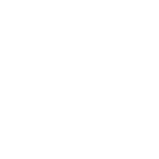 Denchina's emblem