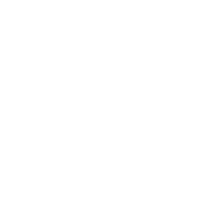 AlessandroXCI's emblem