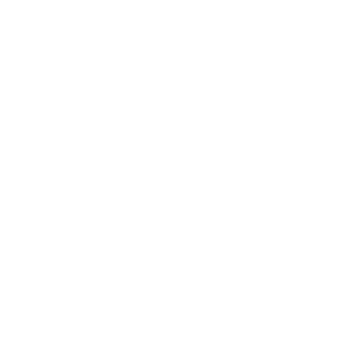 OmegaFenix-13's emblem