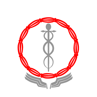 Voodoo901's emblem