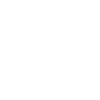 codingear's emblem