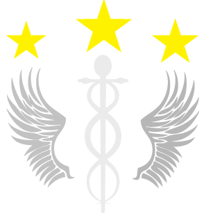 flandersen08's emblem