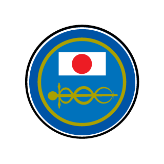 lain_fall1011's emblem