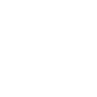 1Voodoo1's emblem