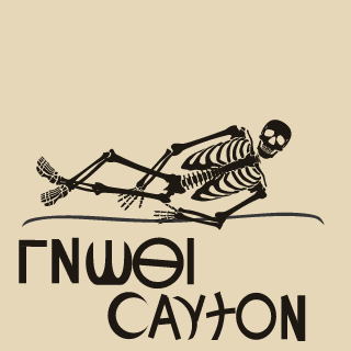 StultusAphron's emblem