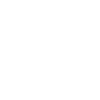 PayVayUA's emblem