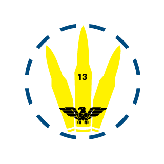 95ViniciusAm's emblem