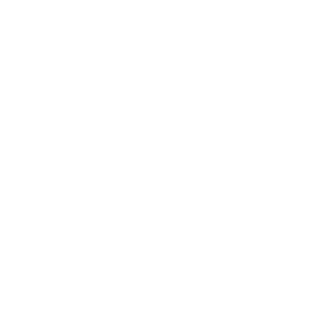 SnaillGary's emblem