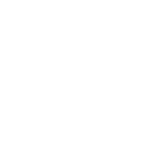 ShrexDestroyer's emblem