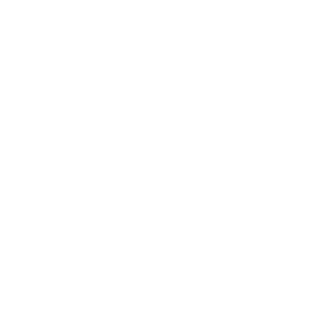 ZZlYuan's emblem