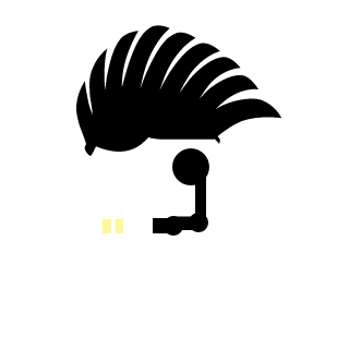 WillianBooTFly's emblem