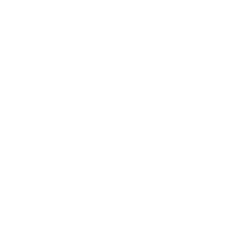 TrumpsWallet's emblem