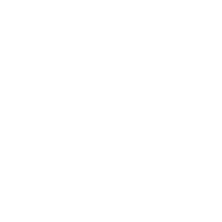 Seal Ledezma's emblem