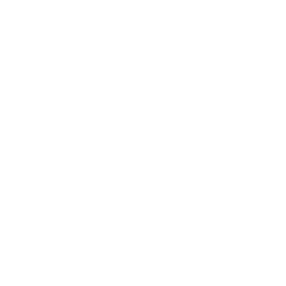 insaniiebot's emblem