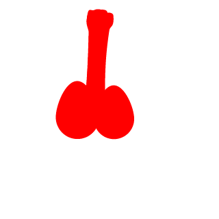 TheD0llman's emblem