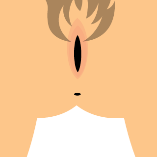 LEEMEILIN's emblem