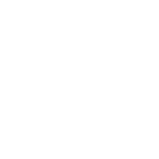 ZackBumToT-93's emblem