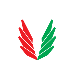 SirEpicWin's emblem