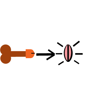 slaikkari's emblem