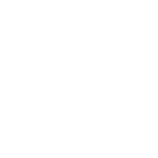 AC-Epsilons's emblem