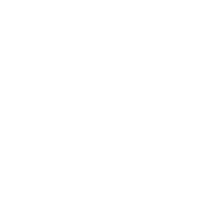 21Pirates's emblem