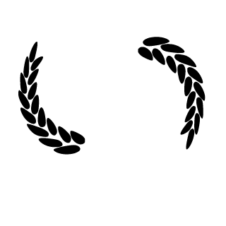 InvoicingQuasar's emblem