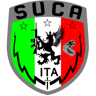 VENEZIA's emblem