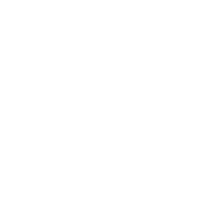alcolin_RM's emblem