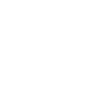 VVash_Lives's emblem