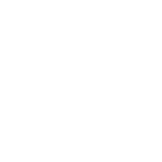 zy00521's emblem