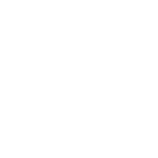 VashTheStampedeT's emblem