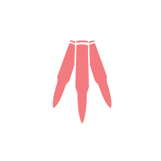 ariaso's emblem