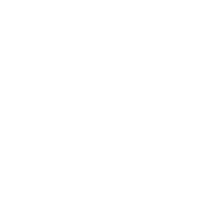 9918ism's emblem
