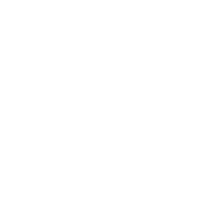 BossLeoAlves's emblem