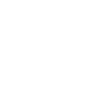 Paraon_F16's emblem