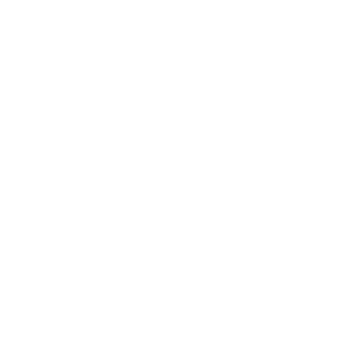 SynthPirate's emblem