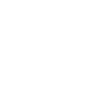 sanyadiplomat's emblem