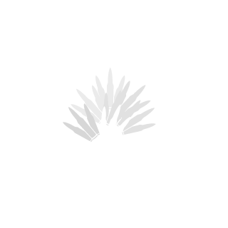 angleofoblivion's emblem