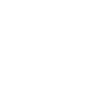 13siekiera's emblem