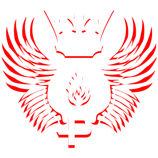 XMATEO0X's emblem