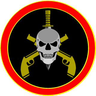 SrNogueiraA123's emblem
