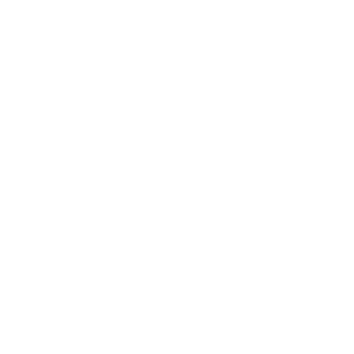 Phinix360's emblem